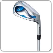 キャスコ ドルフィンアイアン,シャフト,アイアン